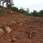 Development Project 2