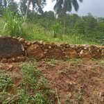 Development Project 2