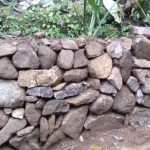 Development Project 2