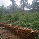 සංවර්ධන ව්‍යාපෘති 2