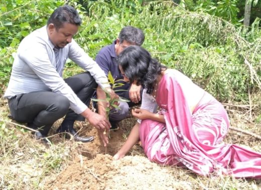 සංවර්ධන ව්‍යාපෘති 3