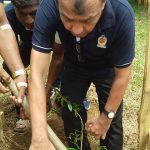 සංවර්ධන ව්‍යාපෘති 3