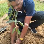 සංවර්ධන ව්‍යාපෘති 3